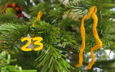 23. – Advent-Advent