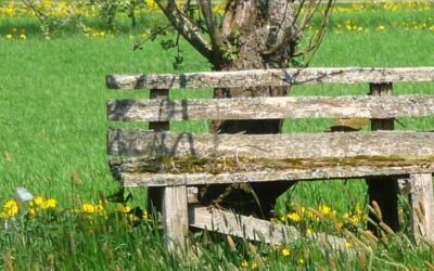 FILZ in der Natur – FILZEN für die Natur