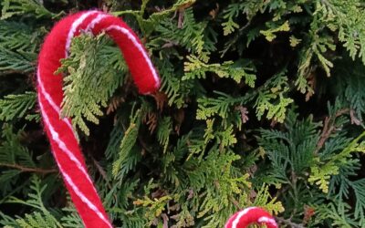 Weihnachtsbäckerei – 6