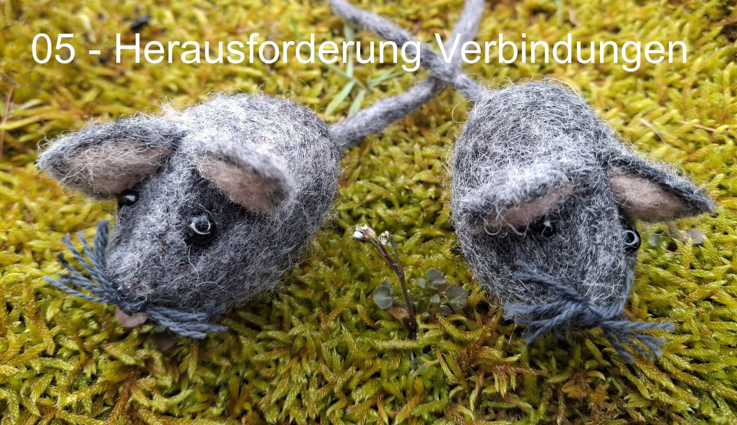 05_Glückliche Verbindung_Header