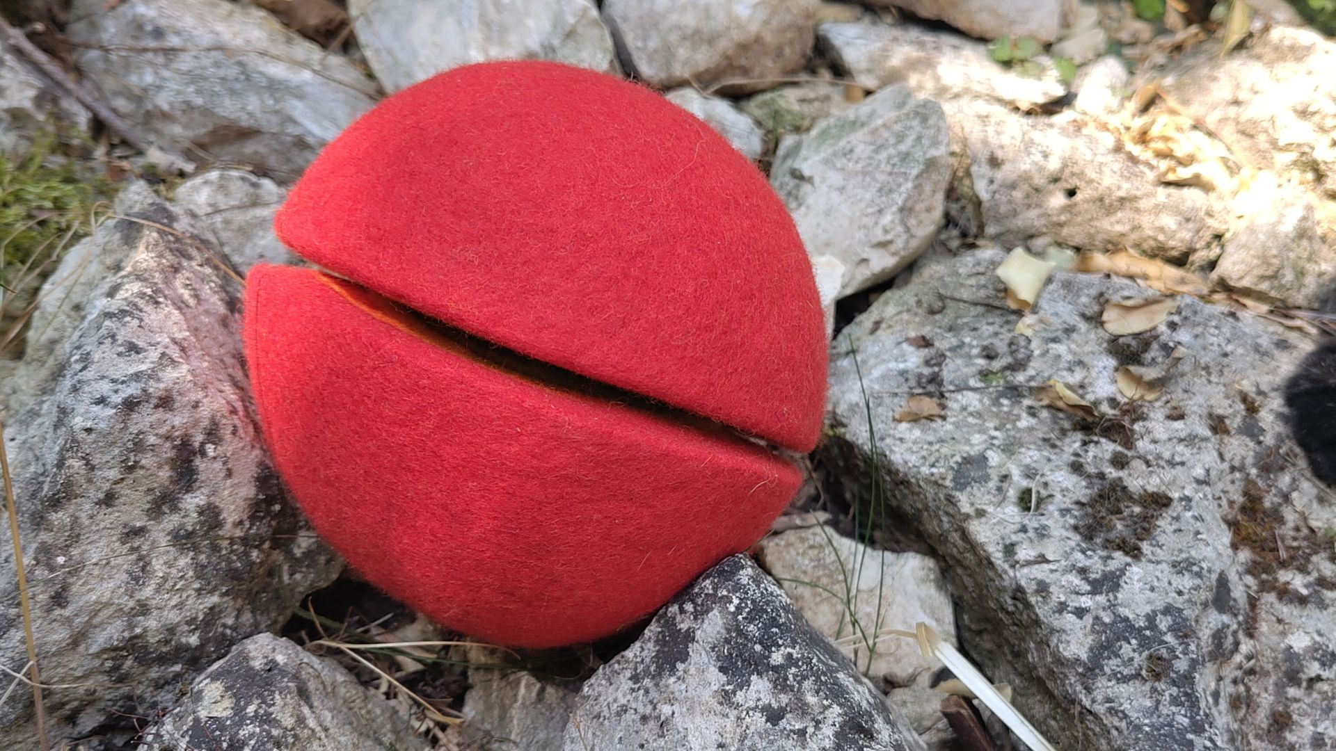 Filznetzwerk Komm ins Spiel