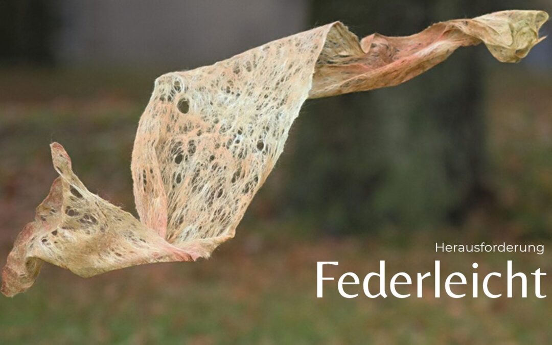 Herausforderung – Federleicht