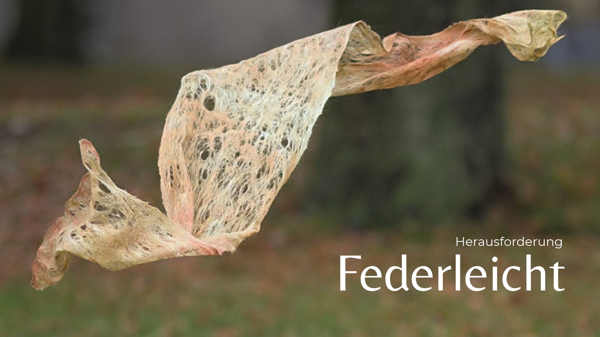 Herausforderung Filznetzwerk Federleicht